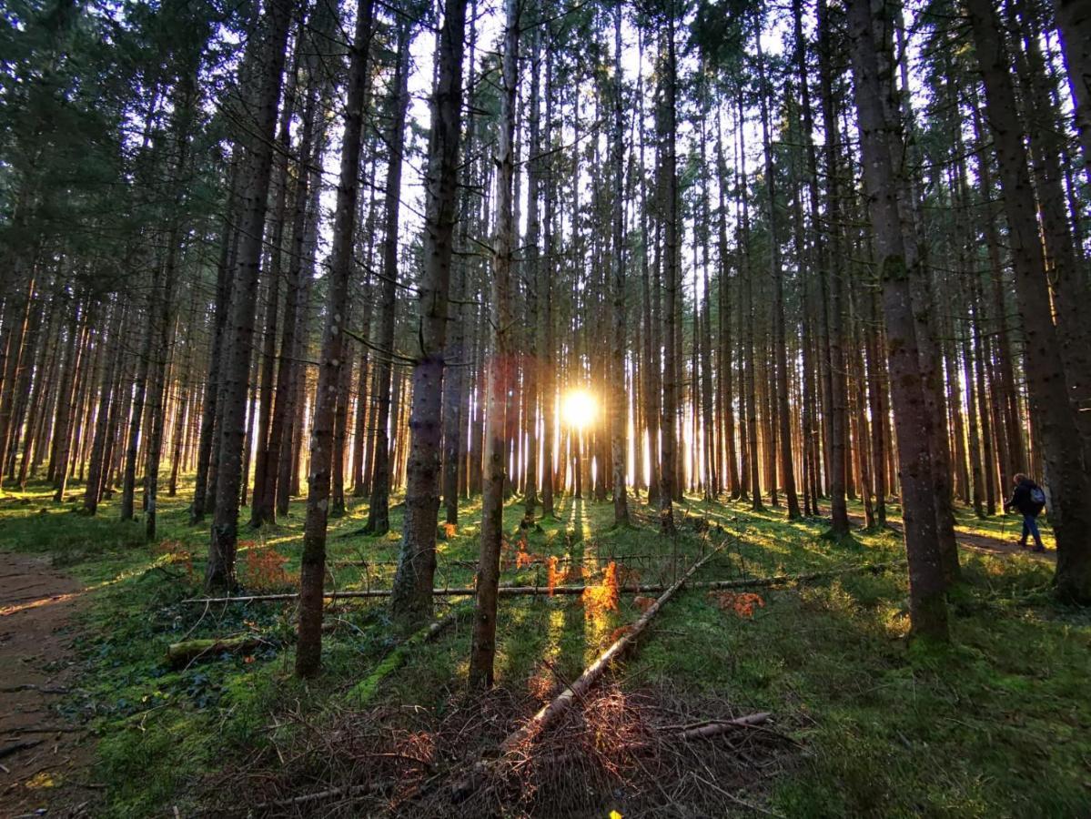 Landhotel Haeuserl Im Wald Grobming Luaran gambar